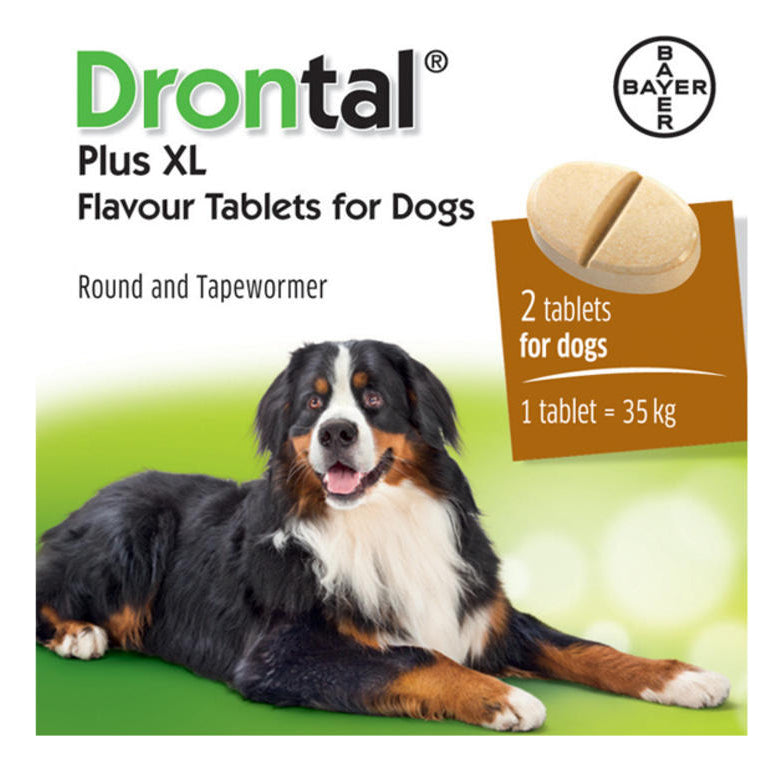 Drontal dog bayer best sale