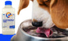 Electrodex Dog Suero Rehidratante con Electrolitos y Sabores para tu Perro, 625 ml